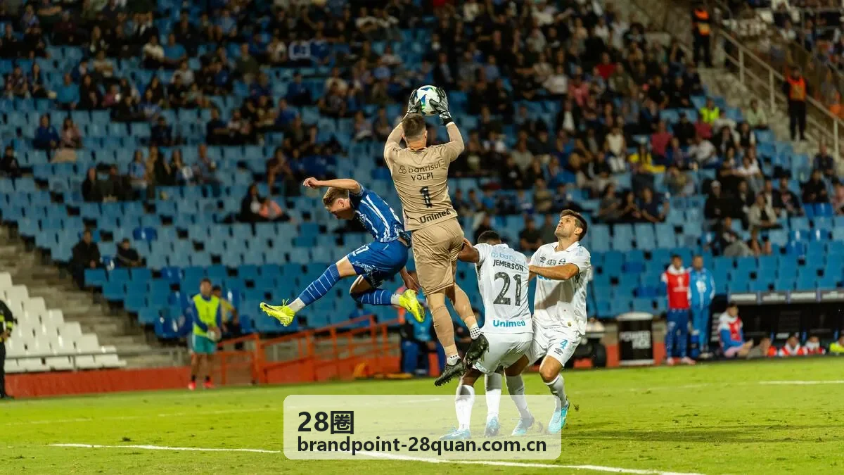 28圈社交图谱可视化工具